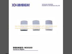 Wet Molding Sintered Ferrite Magnet with High Density and Magnetic Anisotropy Preservation for Fan Motors